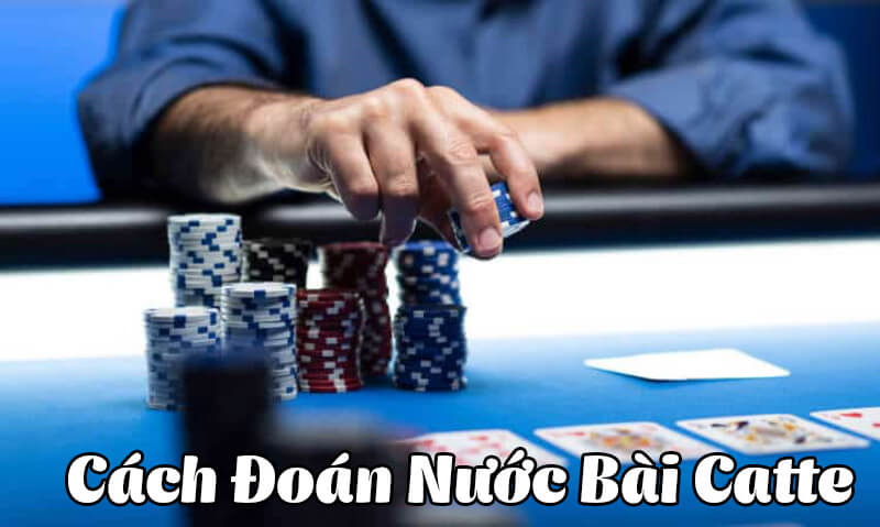bai catte 2 Chia sẻ những kinh nghiệm trong chơi bài catte